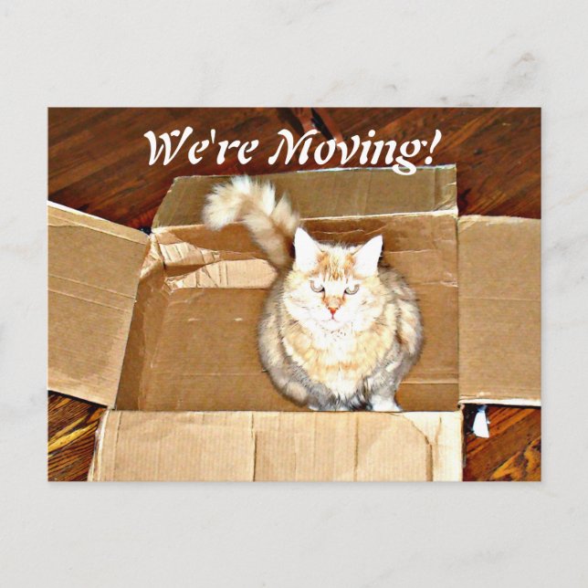 "We're Moving" Announcement Postcard (Front)