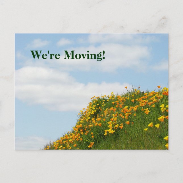We're Moving! postcards Moved Notice Cards Poppies (Front)