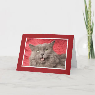 We're Purrfect for Eachother - Customised Holiday Card