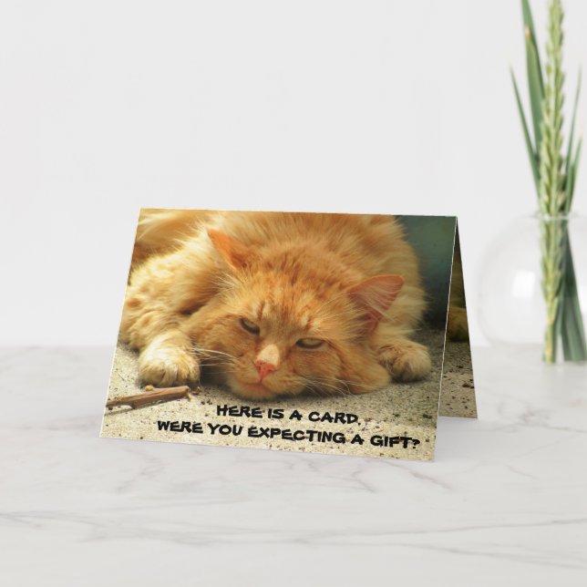Were You Expecting a Gift? That's Cute. Mean Kitty Card (Front)
