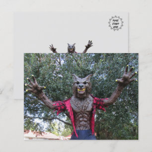 Werewolf / Wolf Man Postcard