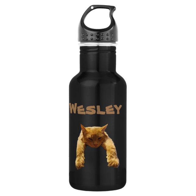 Wesley Name With Lazy Cat, Water Bottle (Front)