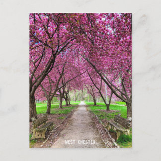 West Chester Everhart Park Post Card