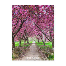 West Chester Everhart Park Post Card