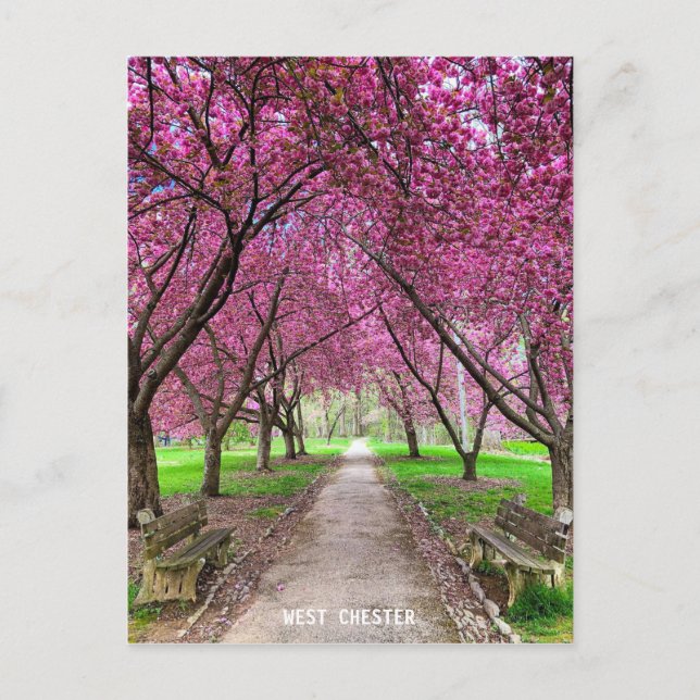 West Chester Everhart Park Post Card (Front)