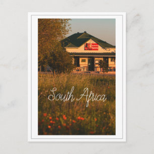 West Coast Aurora South Africa Wild Flowers Postcard