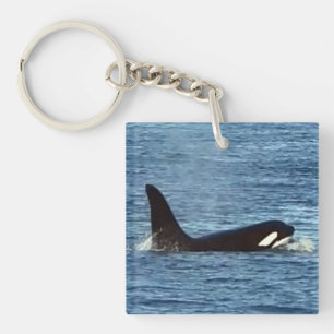 West Coast Killer Whale "Aquarius" Orca Key Ring