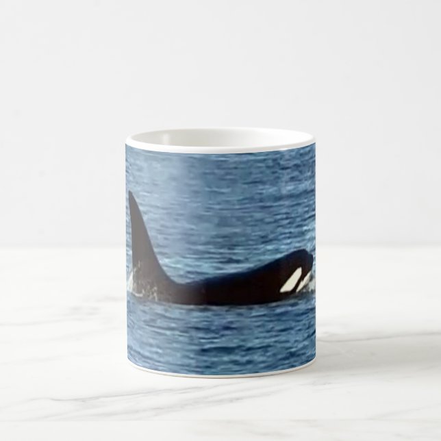 West Coast Killer Whale "Aquarius" Orca Mug (Center)