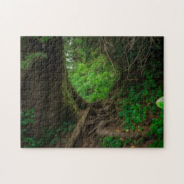West Coast Rainforest | San Juan Fuca Trail Jigsaw Puzzle (Horizontal)