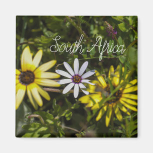 West Coast South Africa Wild Flower ZA Magnet