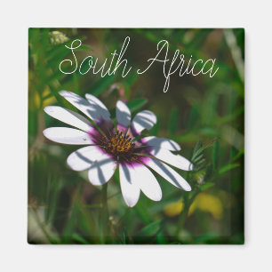 West Coast South Africa Wild Flower  ZA Magnet