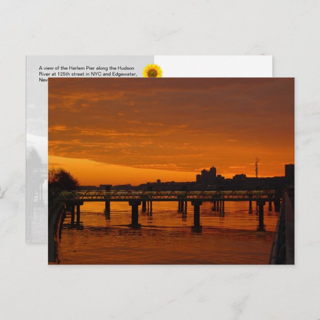 West Harlem Piers, NYC - H postcard (Front/Back)