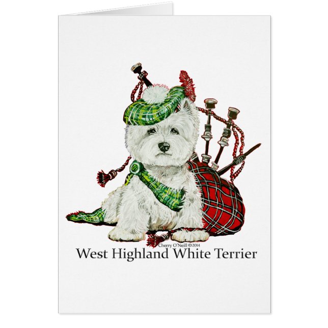 West Highland Terrier (Front)