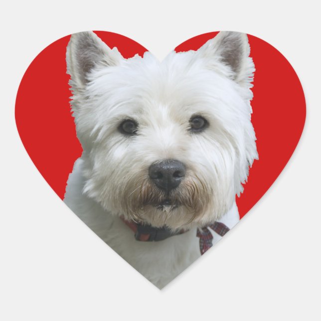 West Highland Terrier Heart Sticker (Front)