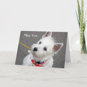 west highland terrier miss you card