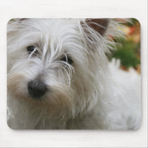 West Highland Terrier Mouse Pad