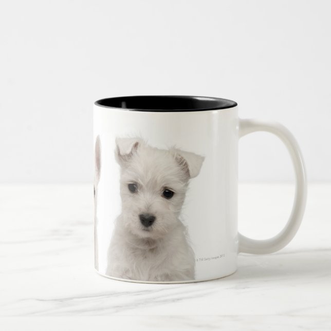 West Highland Terrier puppies (7 weeks old) Two-Tone Coffee Mug (Right)
