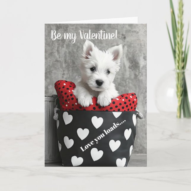 West Highland Terrier puppy  Valentine Card (Front)