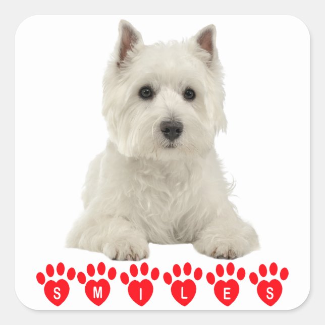 West Highland Terrier White Puppy Dog Hello Smiles Square Sticker (Front)