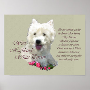 West Highland White Terrier Art Print