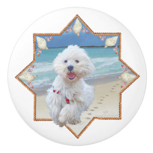 West Highland White Terrier Ceramic Knob