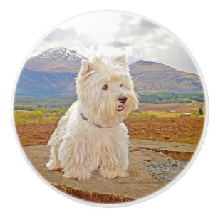 West Highland White Terrier Ceramic Knob