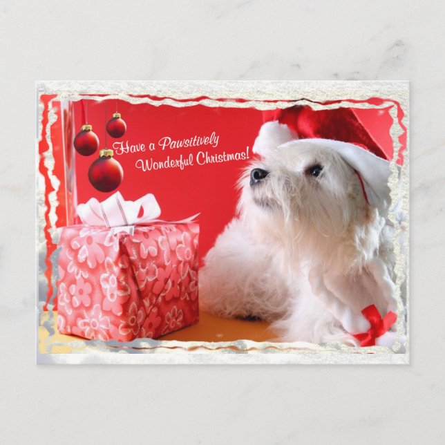 West Highland White Terrier Christmas Wishes Holiday Postcard (Front)