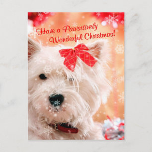 West Highland White Terrier Christmas Wishes Holiday Postcard