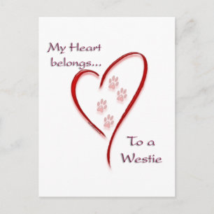 West Highland White Terrier Heart Belongs Postcard