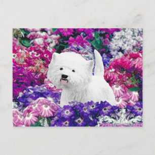 West Highland White Terrier Painting Dog Art Postcard