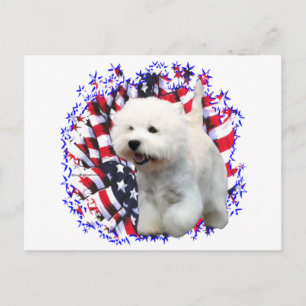 West Highland White Terrier Patriot Postcard