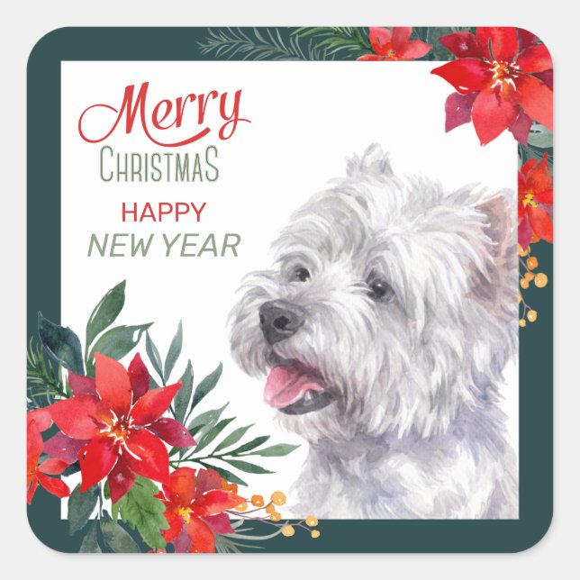 West Highland White Terrier Poinsettia Border Square Sticker (Front)