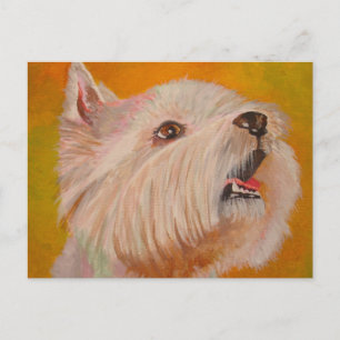 West Highland White Terrier Portrait Postcard