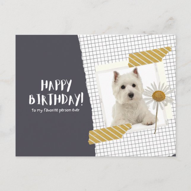 West Highland White Terrier Postcard (Front)