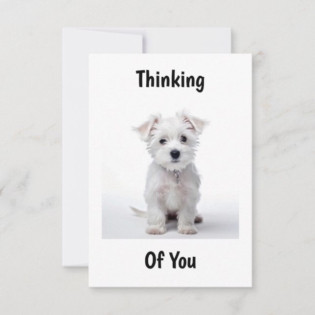 west highland white terrier puppy sitting thinking card (Front)