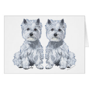West Highland White Terrier Sitting Twins!