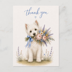 West Highland White Terrier Thank You Postcard