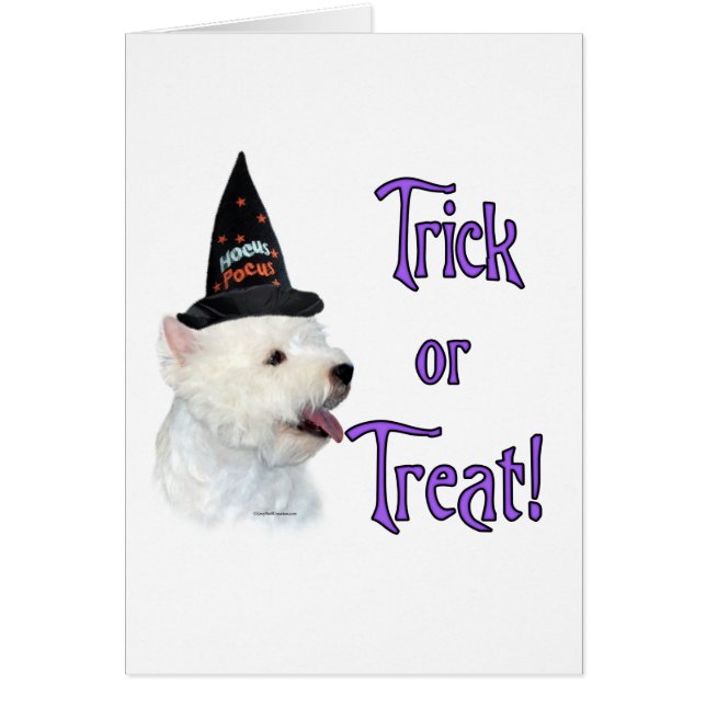 West Highland White Terrier Trick (Front)