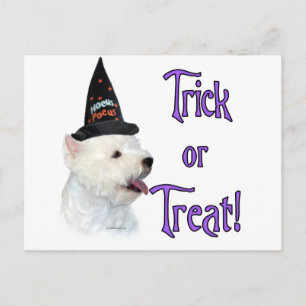 West Highland White Terrier Trick Postcard