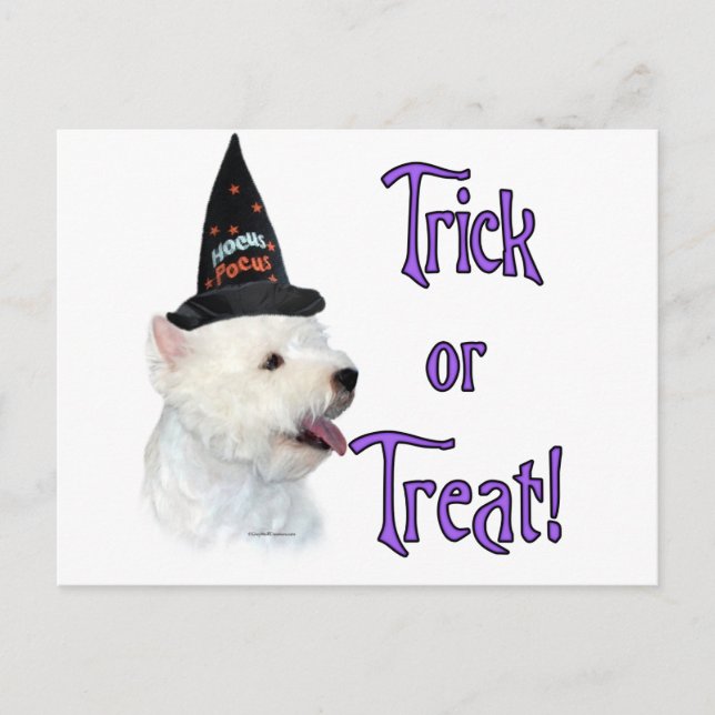 West Highland White Terrier Trick Postcard (Front)