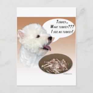 West Highland White Terrier Turkey Postcard