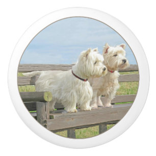 West Highland White Terriers Ceramic Knob