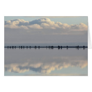 West Kirby Marina