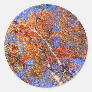West Mt. Autumn Hot Springs National Park Gifts Classic Round Sticker