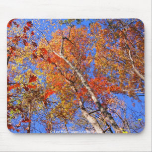 West Mt. Autumn Hot Springs National Park Gifts Mouse Pad