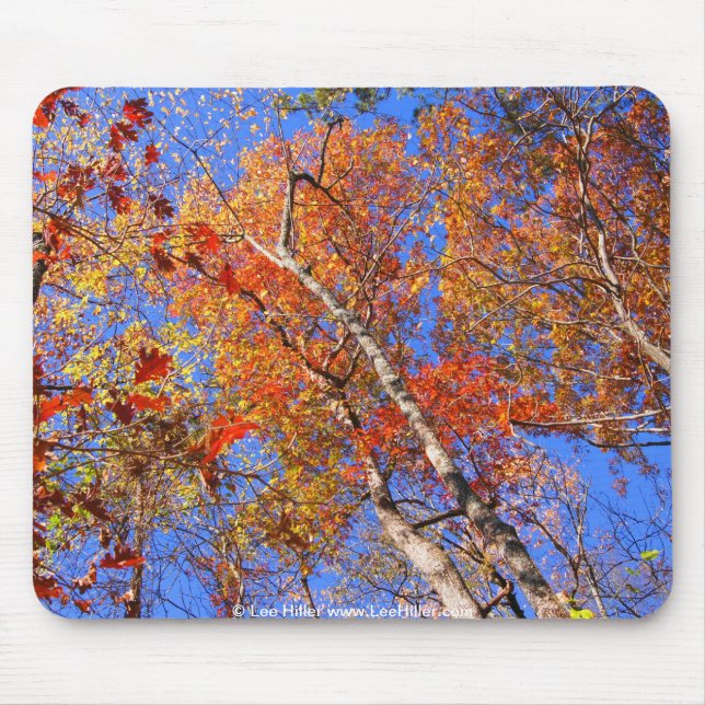 West Mt. Autumn Hot Springs National Park Gifts Mouse Pad (Front)