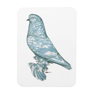 West of England Tumbler: Lavender Mottle Magnet