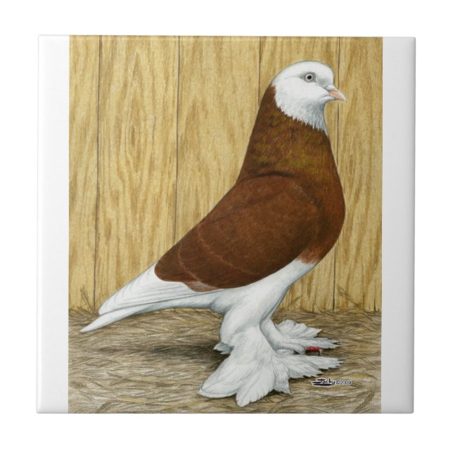 West of England Tumbler Red Baldhead Ceramic Tile (Front)