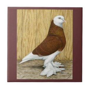 West of England Tumbler Red Baldhead Tile