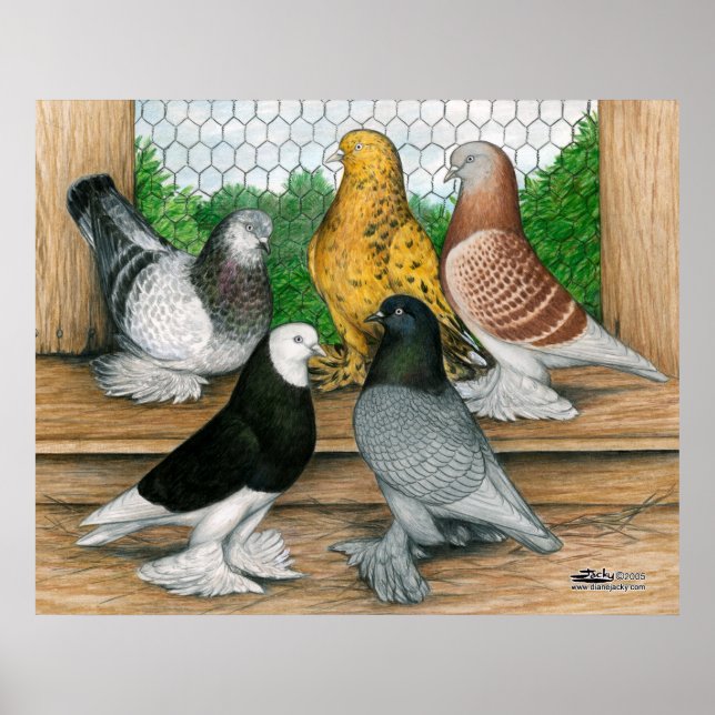 West of England Tumblers Poster (Front)